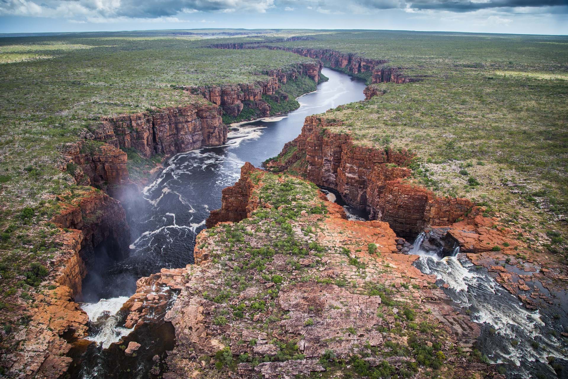 Protecting our fragile biodiversity