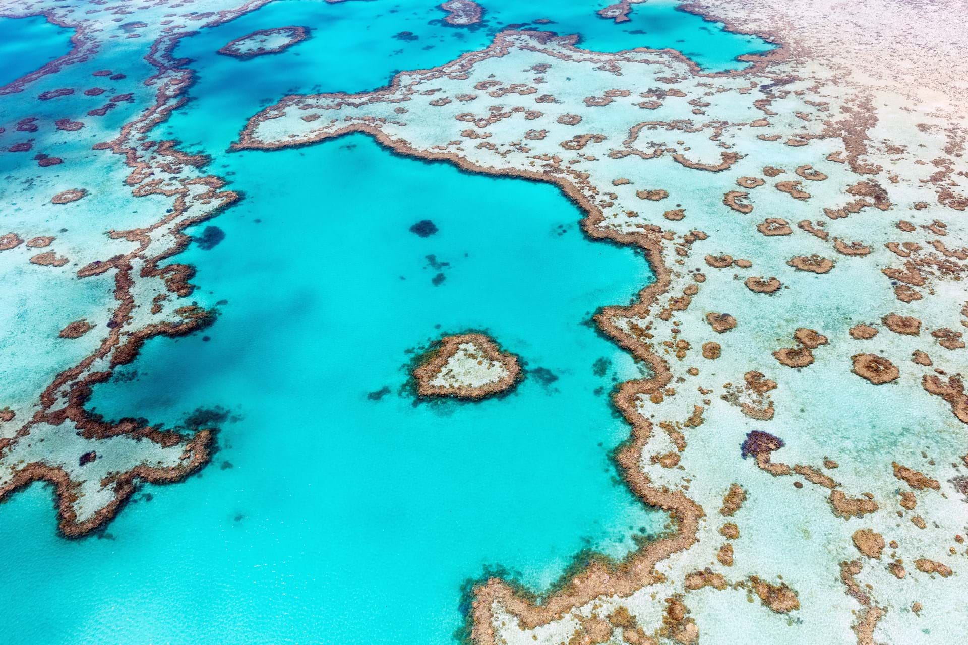 Protecting our fragile biodiversity
