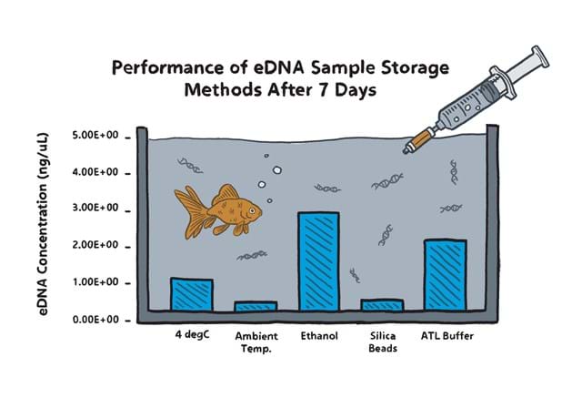 Edna Graph eDNA preservation and storage methods in the field