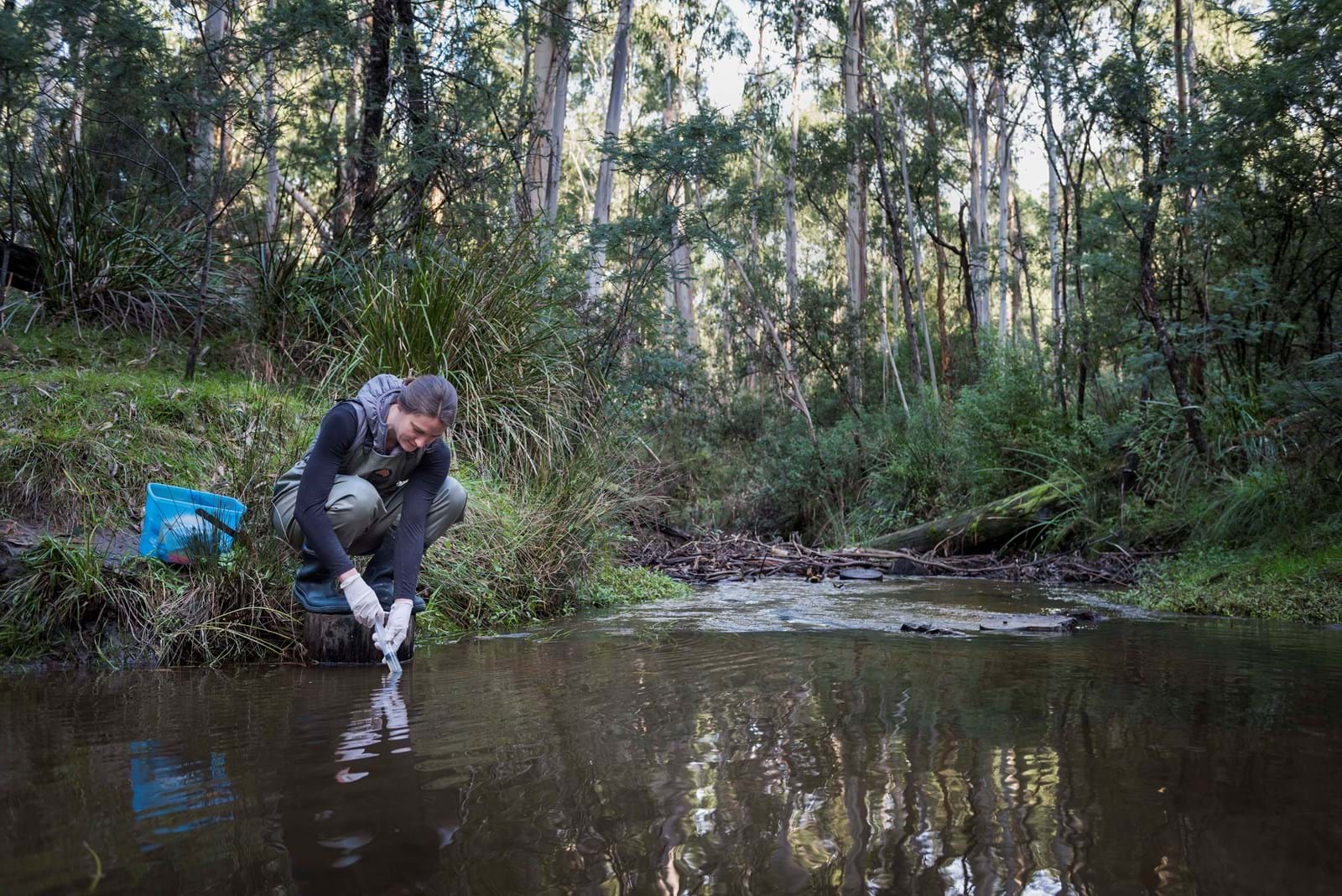 EnviroDNA - eDNA Biodiversity Monitoring Solutions