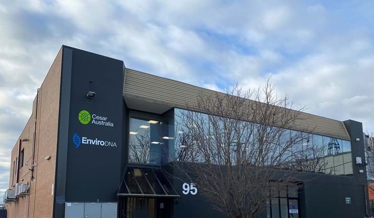 95 Albert Street, Brunswick VIC 3056