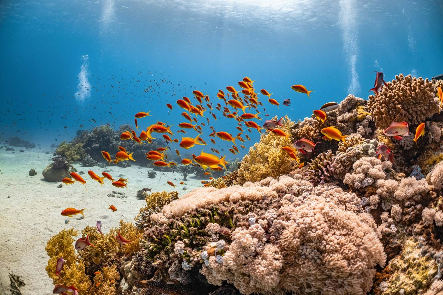 eDNA Sampling Kits | EnviroDNA