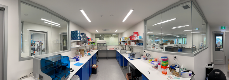 95 Albert Street, Brunswick VIC 3056