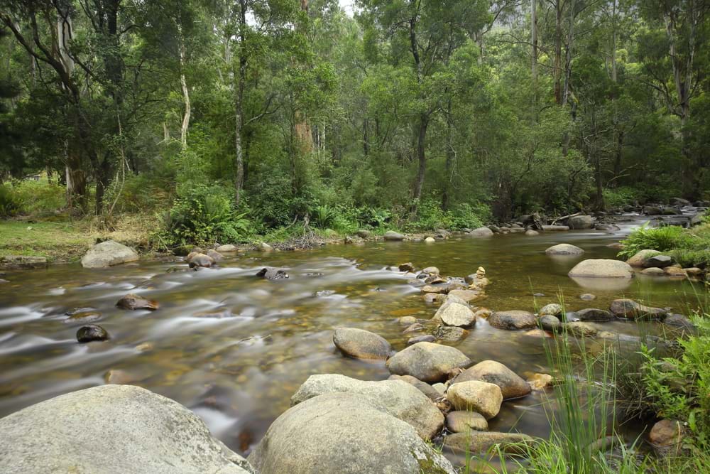 Measuring effectiveness of riparian restoration